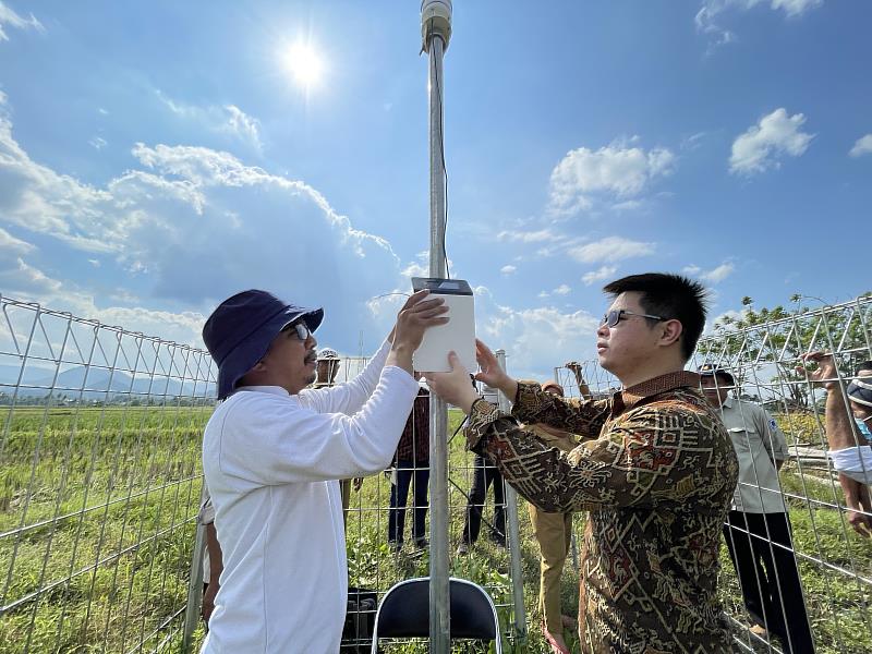 技術團於水稻區內設立簡易氣象站。