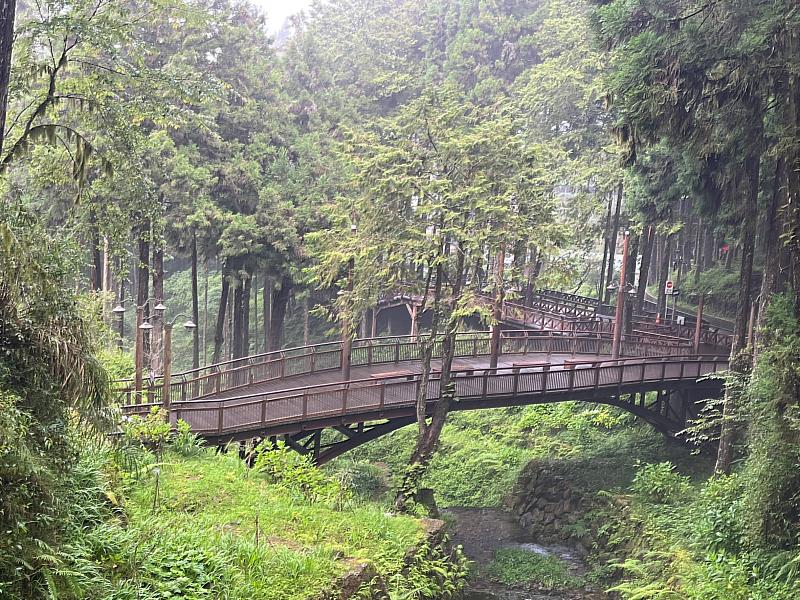 因應海葵颱風來襲，阿里山國家森林遊樂區2日下午5時起預警性休園