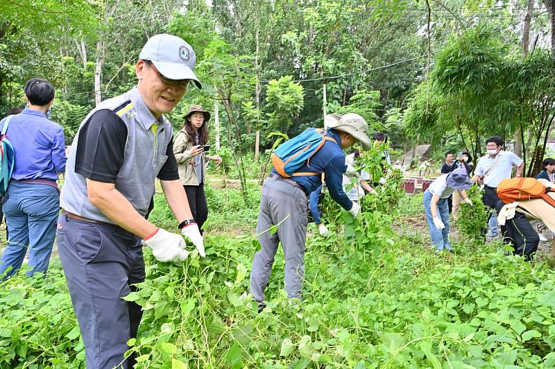 林業保育署嘉義分署帶領企業、師生、志工與社區移除小花蔓澤蘭