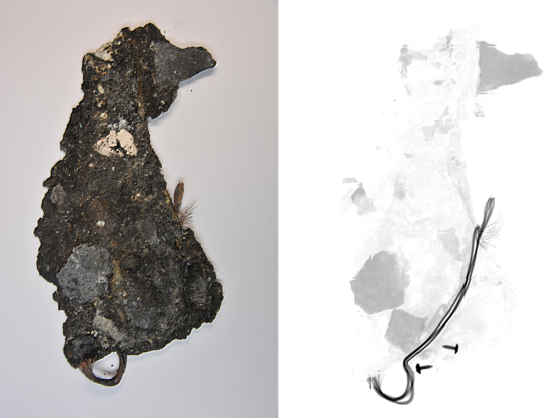 使用X光檢驗機鑑定，電器塑膠外殼燒熔包覆電線清晰可見。