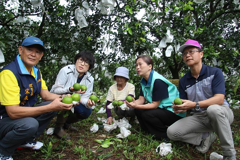 臺東農損超過6億 縣長饒慶鈴呼籲農民於期限內盡快申請現金救助