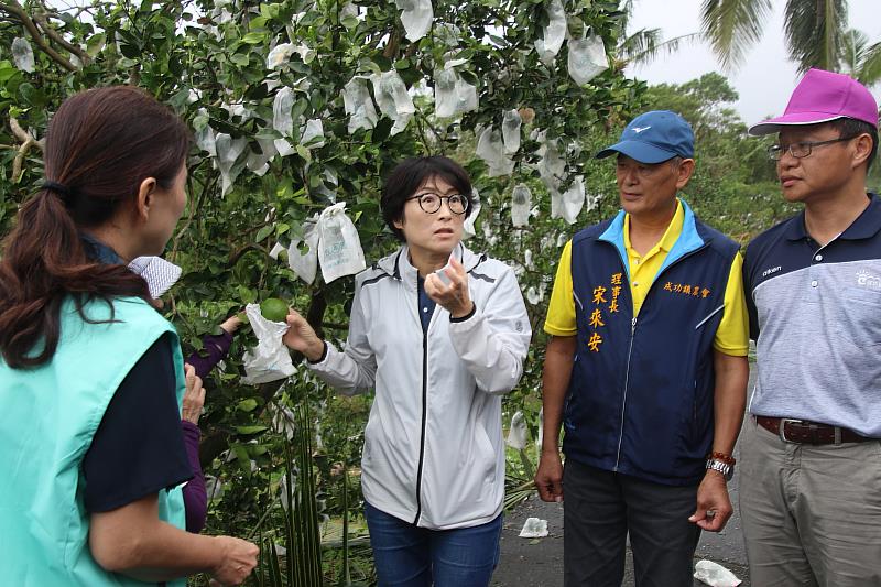 臺東農損超過6億 縣長饒慶鈴呼籲農民於期限內盡快申請現金救助