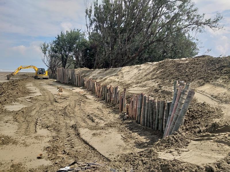 林業保育署嘉義分署打設的定砂木樁、竹柵及回填太空包