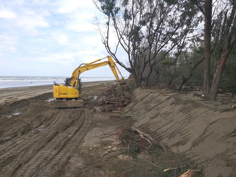 海葵颱風暴潮衝進保安林，林業保育署嘉義分署派工堆高地勢