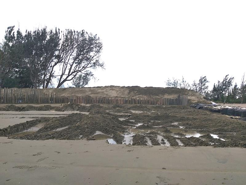 林業保育署嘉義分署於北門雙春保安林破口打設定砂木樁等措施，進行短期應急處理