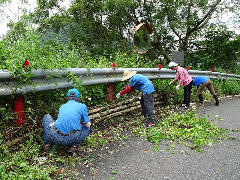 民眾拉除小花蔓澤蘭2