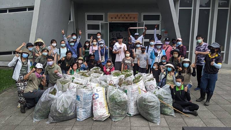 巴克禮公園進行外來種小花蔓澤蘭移除，維護公園自然生態