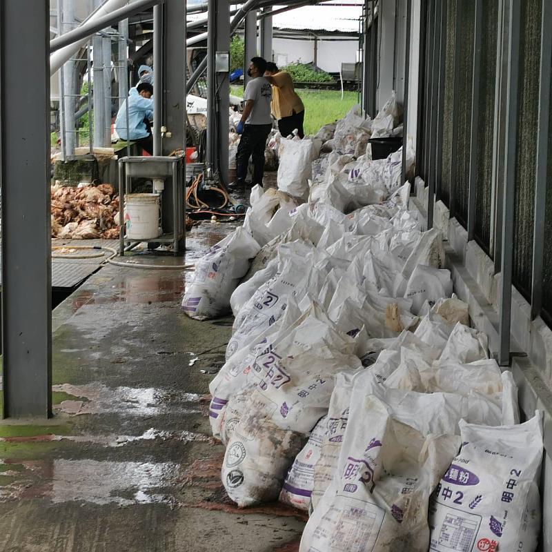 因颱風來襲電力供應故障 造成一蛋雞飼養戶2萬斃死雞 台東縣垃圾焚化場協助焚化