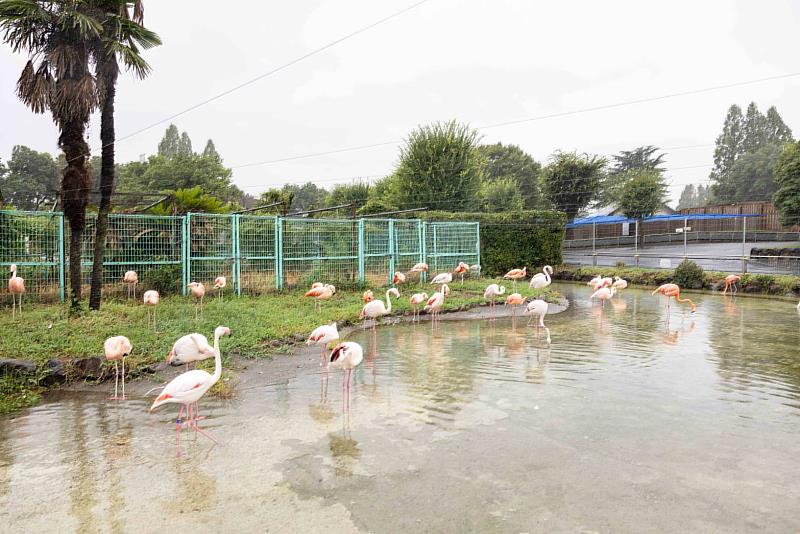 園內飼養約120種、1,200隻動物。