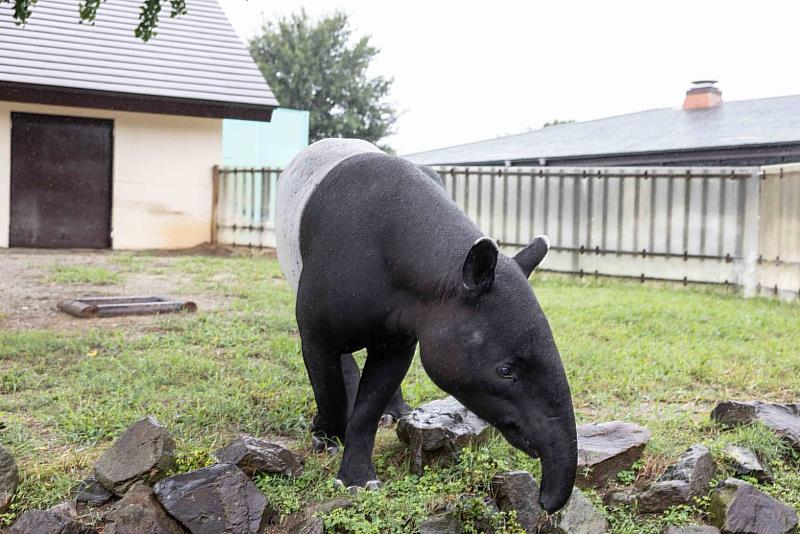 園內飼養約120種、1,200隻動物。