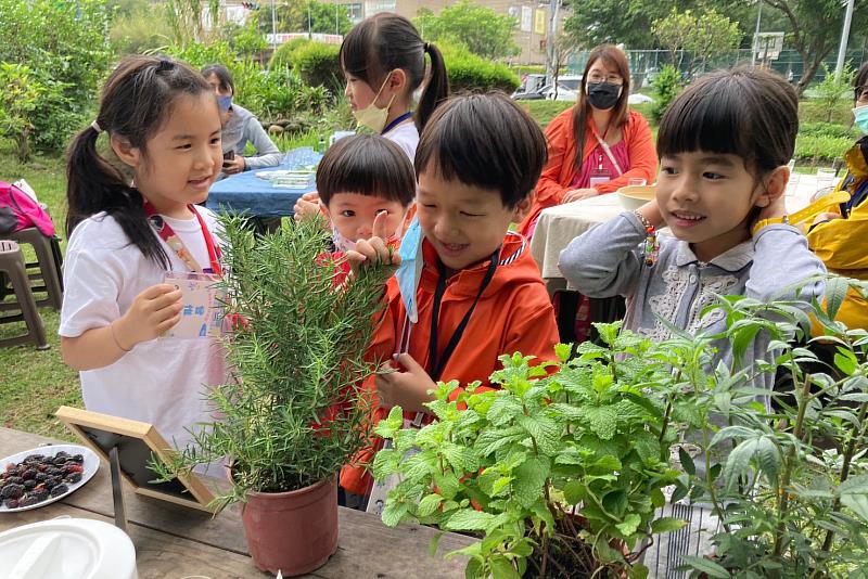 食物森林工作派對x小學堂活動實地五感體驗學習。