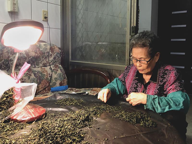 陳李珠桂阿媽邊接受訪談邊挑茶枝