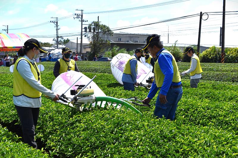 全國機採茶菁技術競賽 嘉縣選手首次獲得特別獎