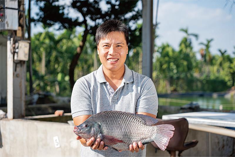 聖鯛水產與海大合作選育優質吳郭魚品系-臺灣鯛