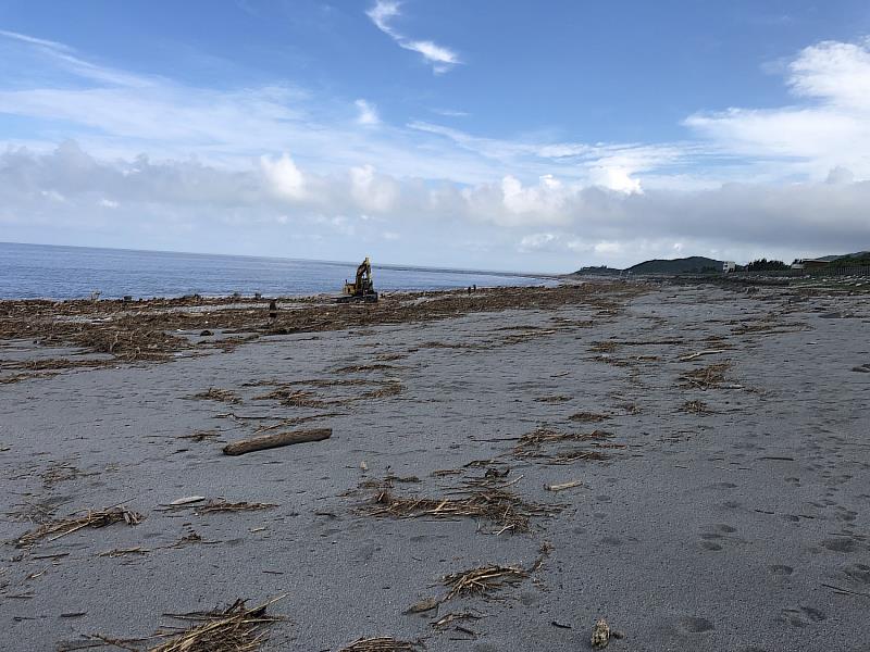 化仁海堤漂流木