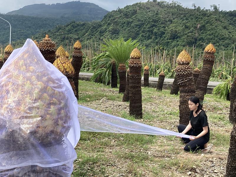 鹿野駐地創研成果發表《滅絕物種的生活模式》多重物種的現實 9/18龍田村登場