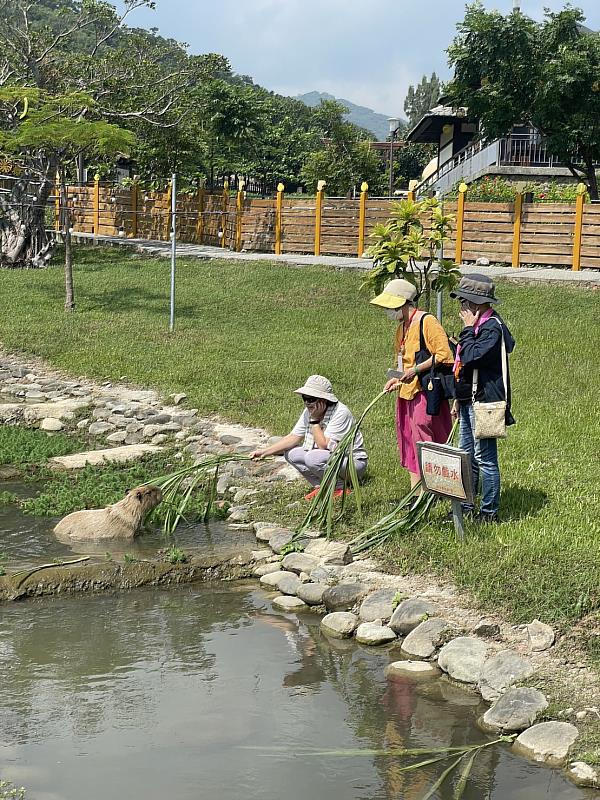 四重溪溫泉公園卡比園區