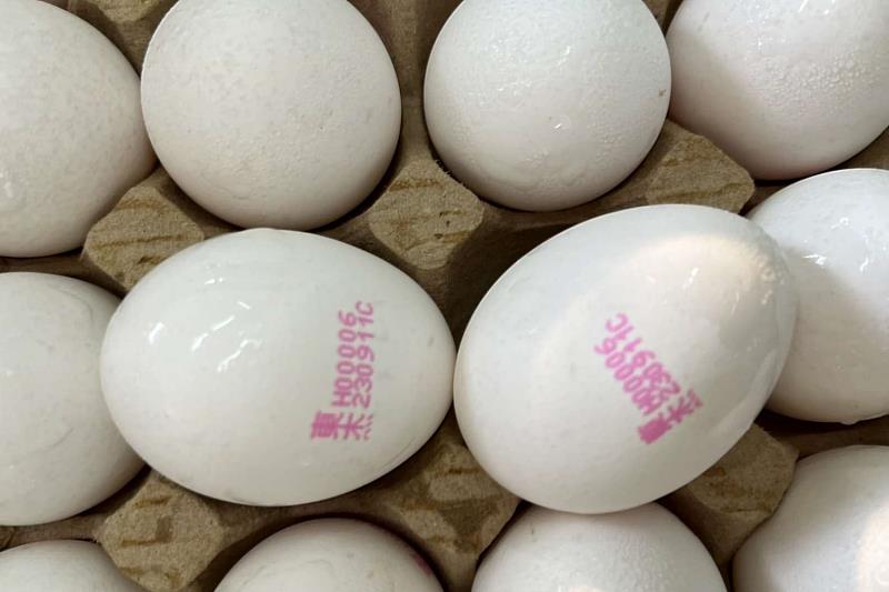 竹市營養午餐即起禁用液蛋  衛生局加強稽查市售蛋品