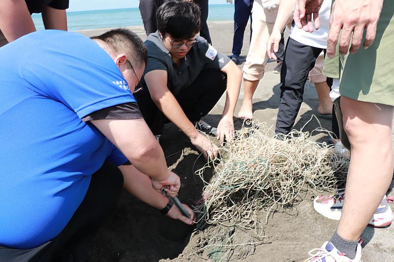 眾人合力挖出埋在沙灘下的漁網