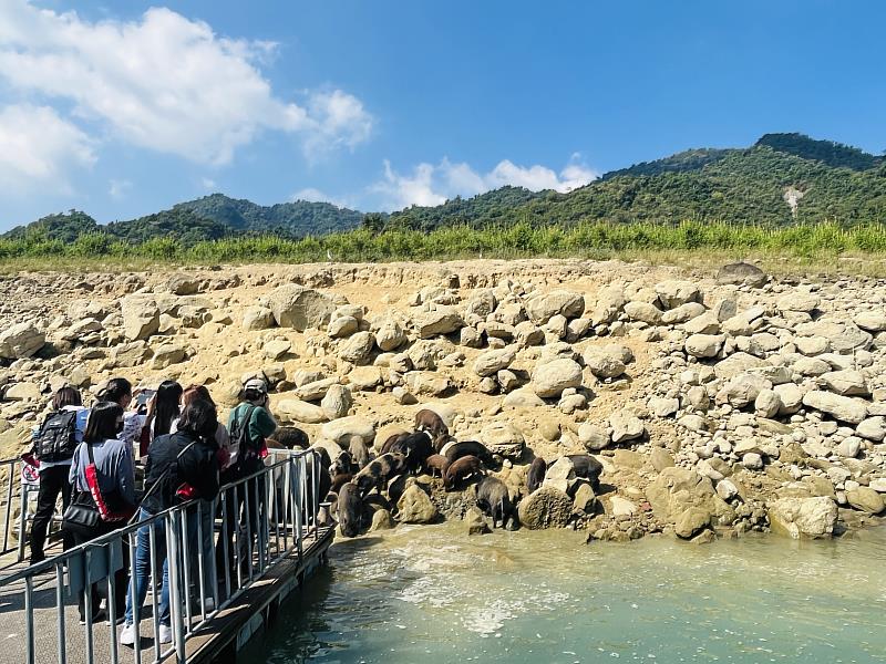 再現滿水位美景！嘉義縣力推曾文水庫10大旅遊體驗