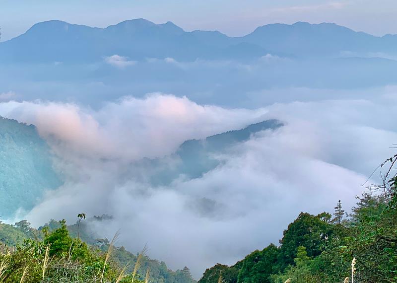 大雪山國家森林遊樂區雲海一景(出處：林業保育署臺中分署)