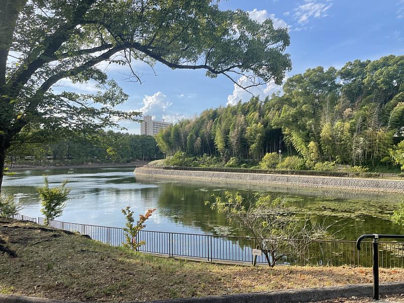 市民的努力下所保留的桃山公園的自然景觀
