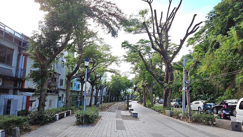 海葵颱風造成台東山海鐵馬道樹木折損 縣府修樹重建 期恢復往日美景