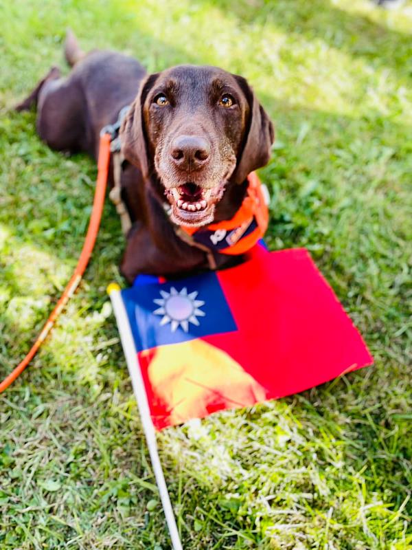 新北領犬員羅浩芳及搜救犬Amei通過世界級國際MRT認證創下臺灣代表隊史上最佳成績