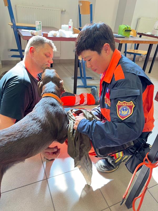 新北領犬員羅浩芳及搜救犬Amei通過世界級國際MRT認證創下臺灣代表隊史上最佳成績