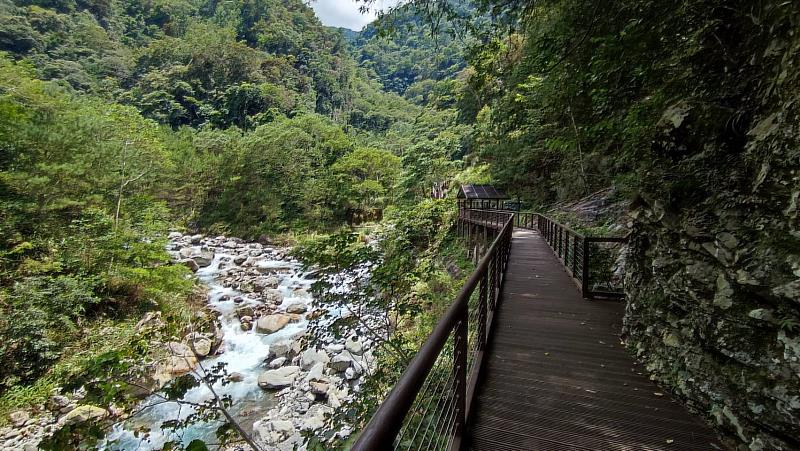 八仙山國家森林遊樂區一景