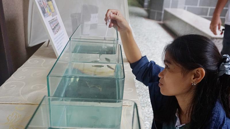 南華大學落實環境永續，舉辦病媒蚊防治論壇，進行生物防治登革熱試驗。