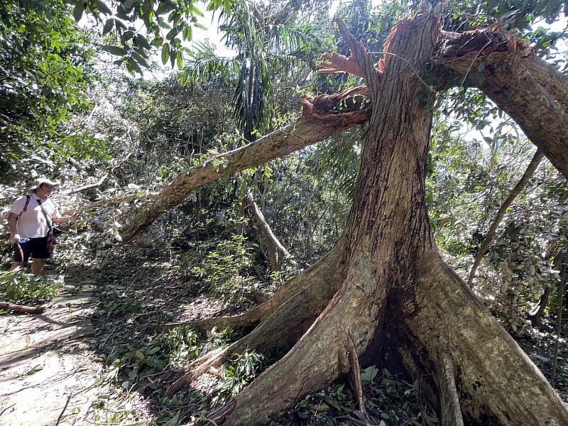 墾丁國家森林遊樂區休園復建5