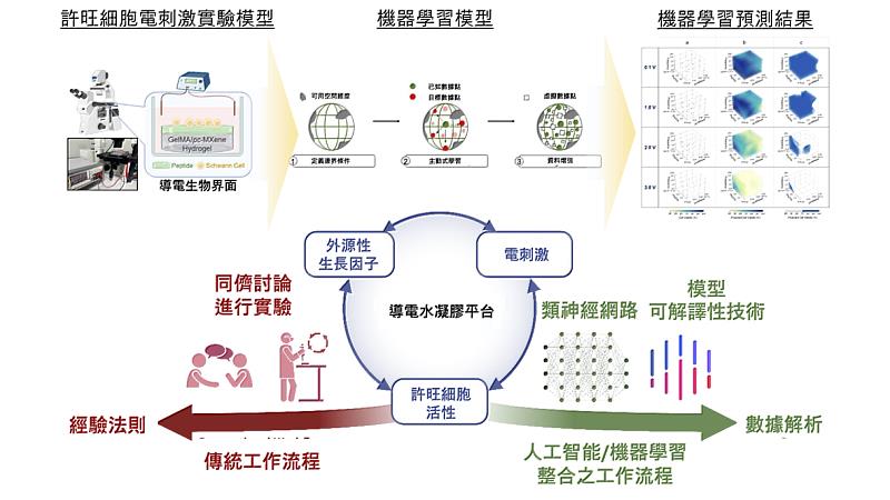 機器智慧學習細胞晶片整合平台結合了導電生物界面製造、機器學習演算法和數據分析的方式，提供了一個多維度的非常規平台來建立細胞層面的臨床前預測模型。