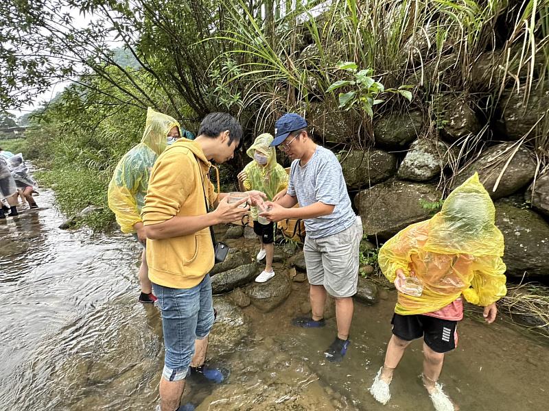 學童與家長於野溪觀察生物