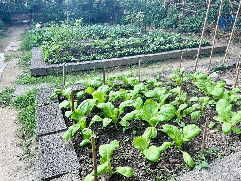 「可食地景」是一種讓城市環境綠美化的方式，種植可食蔬果的同時，也供城市空間變得更加綠意盎然