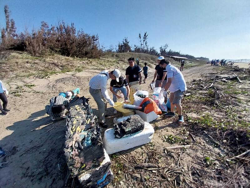 林業保育署嘉義分署與群創光電、睿生光電及群豐駿科技公司企業志工，4日一同於北門雙春保安林淨灘