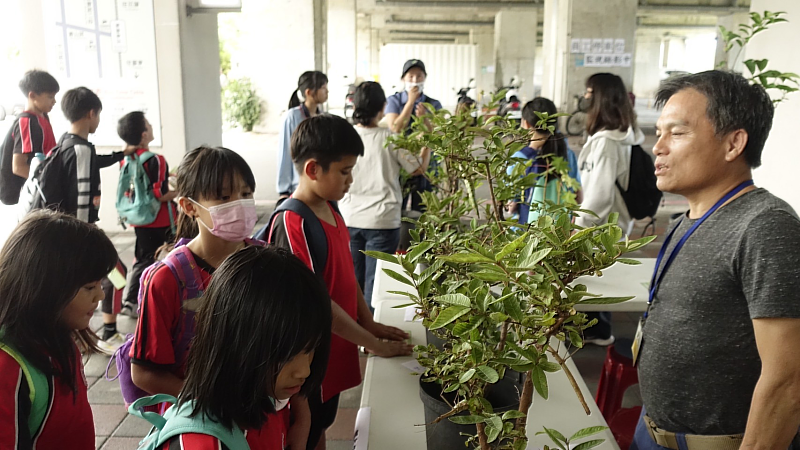 同學們觀察「蝶舞䗛影 精彩蟲現」的生態變化。