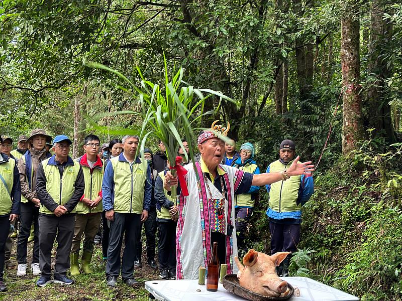 卓溪黑熊 Da qu-ali傷癒，13日在布農族人祈福後野放重返山林。