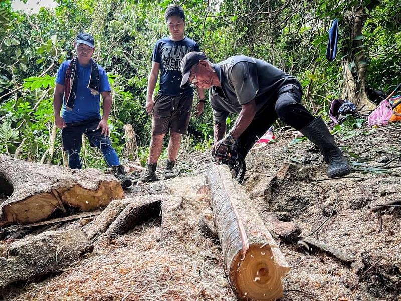 臺東縣原住民族部落大學蘭嶼拼板船造船培訓課程圓滿結束 16日將舉辦新船「tatala」 下水