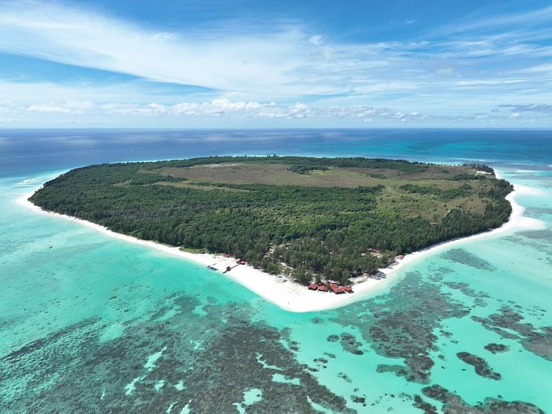 信義企業集團2019年購入環灘島，優先進行環境復育作為。
