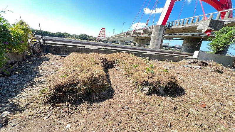 舊港里內非農地環境雜草管理展示區「舊港基地」