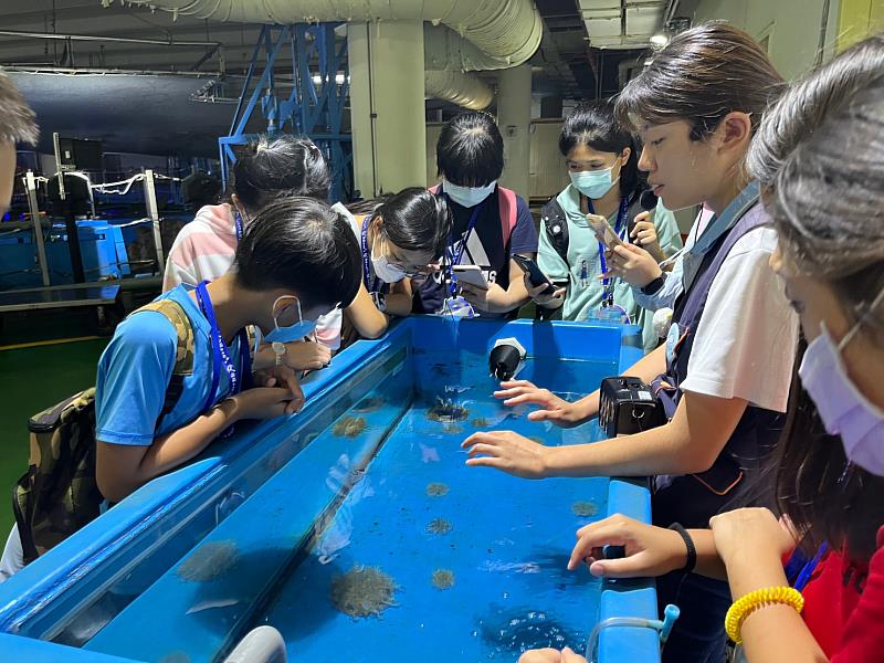 與魚共舞共眠 暢遊海底世界