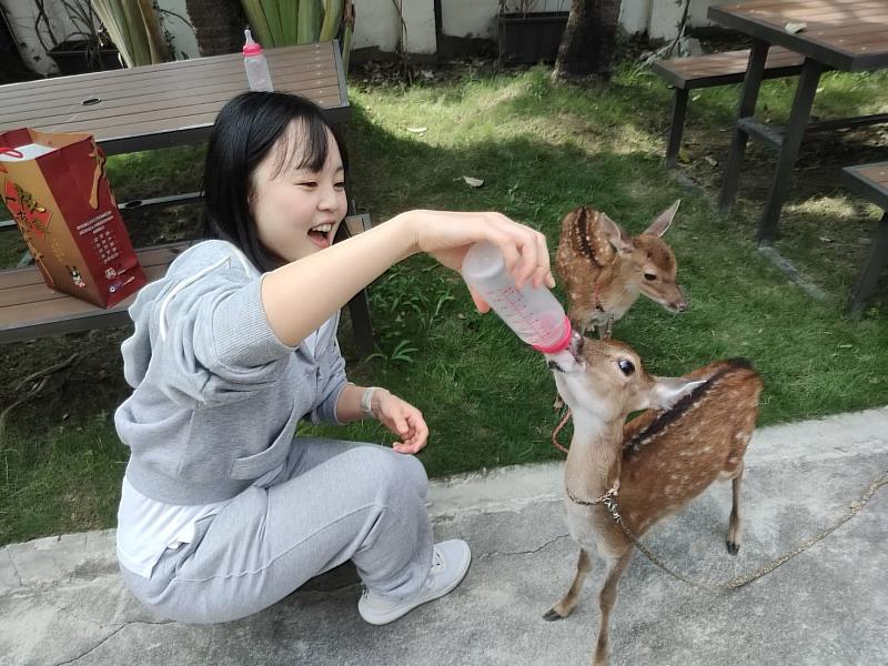 韓國網紅英玹遊台南，除了餵小鹿外，還買了鹿茸酒給男友補身體。(圖/英玹提供)