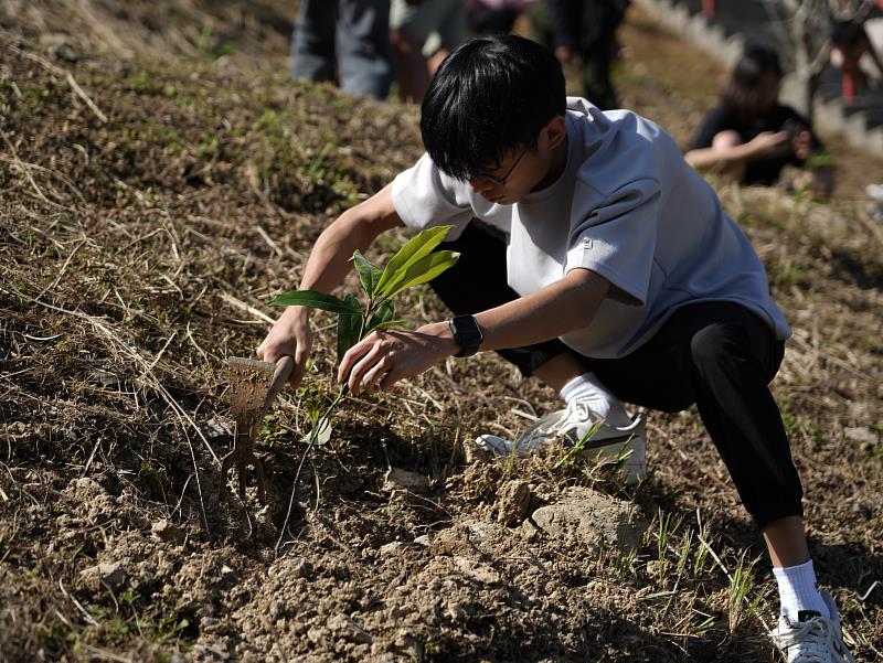 圖說：佛光大學同學於校園種植台灣國寶樹（毛柿）。
