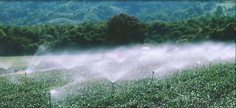 (圖四)農田水利署補助農民申辦田間管路灌溉系統之灌溉情形