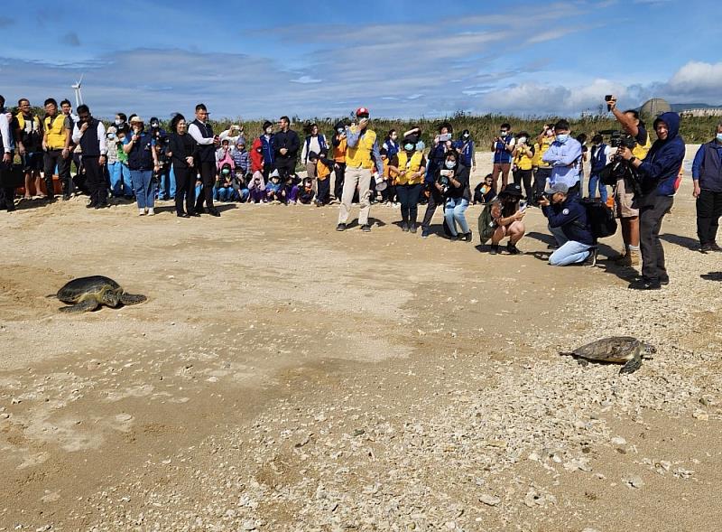 海保署、海生館偕屏東縣府野放2隻綠蠵龜。_0