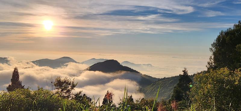 除楓紅外，現更是欣賞阿里山雲海最好的時間