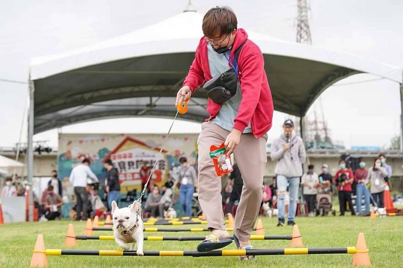 毛足全力！2023 竹市毛小孩運動會