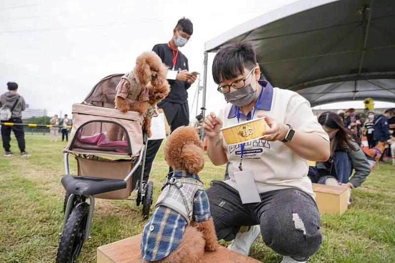 毛足全力！2023 竹市毛小孩運動會