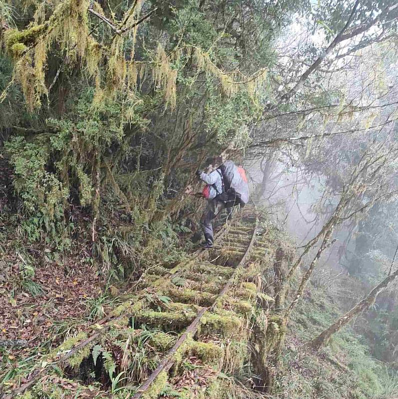 執行深山調查任務。